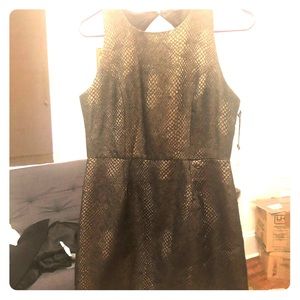 NWT Jack by BB Dakota Gold Snakeskin Dress